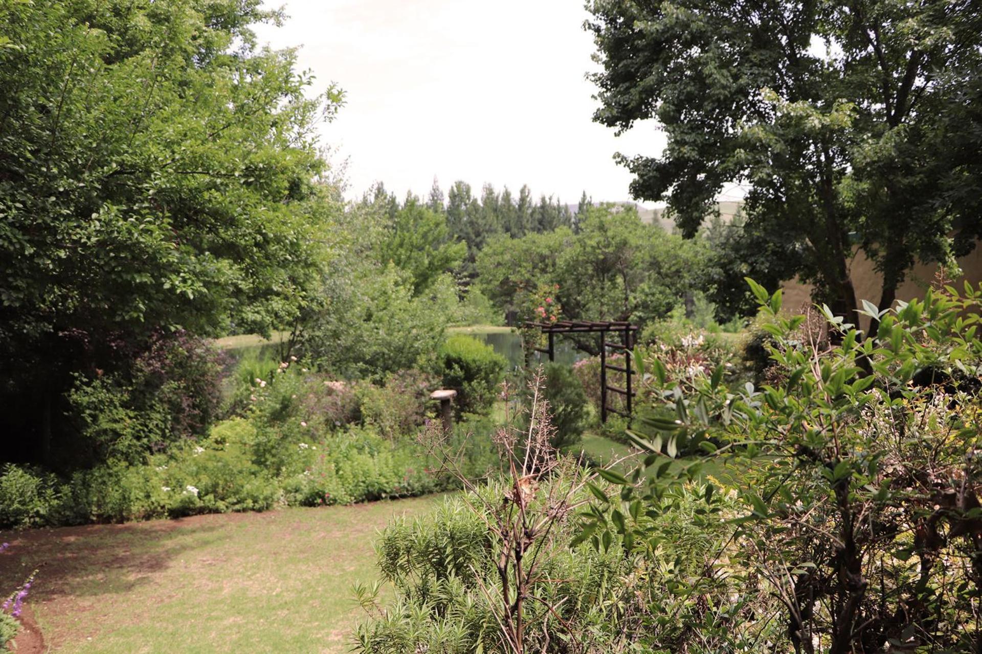 Hotel Schaefers' Halt à Dullstroom Extérieur photo