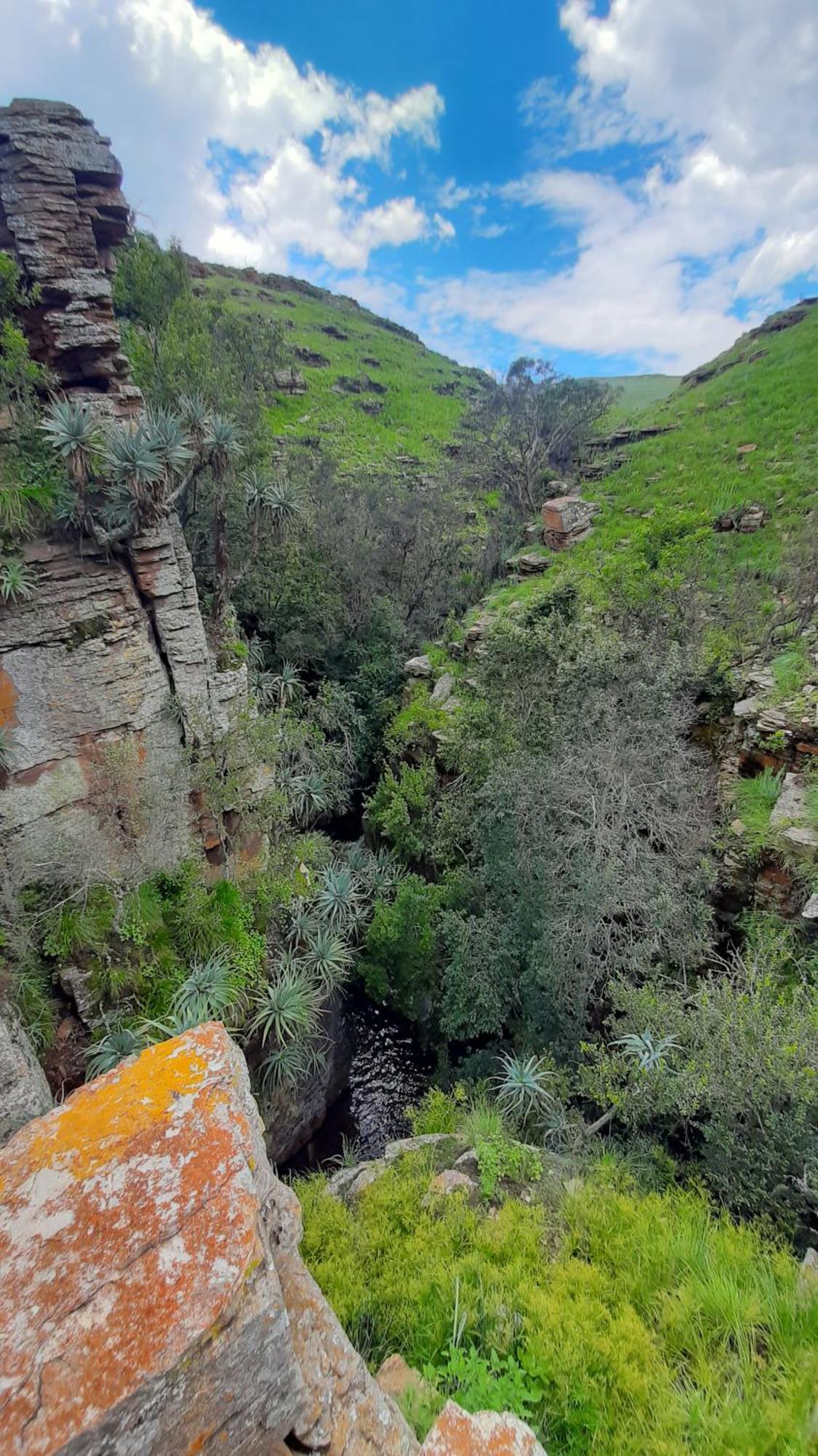 Hotel Schaefers' Halt à Dullstroom Extérieur photo