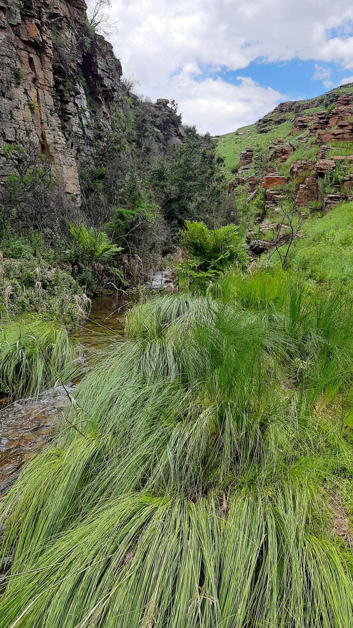 Hotel Schaefers' Halt à Dullstroom Extérieur photo